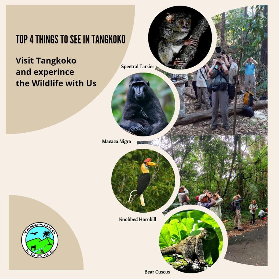 Tangkoko Lodge Bitung Экстерьер фото